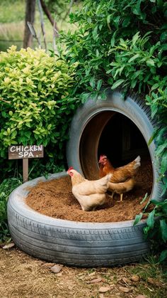 two chickens are in a tire shaped chicken coop that is surrounded by green bushes and shrubbery