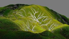 an aerial view of a green mountain with white trees on it's face and the sky in the background