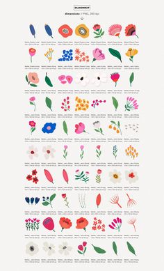 an illustrated poster with flowers and leaves on it's sides, all in different colors