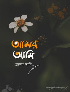 an orange and white flower sitting on top of a green leafy plant with the words hello in two languages