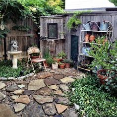 an outdoor garden with lots of plants and rocks in the yard, including a birdhouse