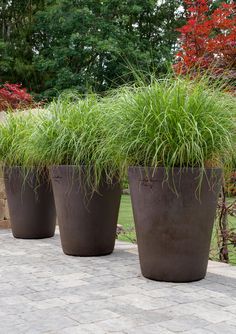 three large planters with grass in them on a brick walkway near some trees and bushes