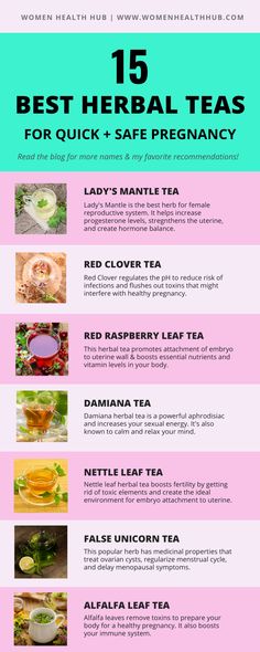 Best Tea For Fertility, Remedies For Getting Pregnant, Best Herbal Teas For Fertility, Spearmint Tea For Fertility, Herbs To Help Get Pregnant, Nettle Tea Benefits Fertility, Herbs To Get Pregnant, Best Time To Conceive Get Pregnant, Best Tea For Pregnant Women