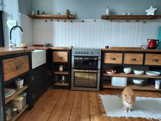 an orange and white cat sitting in the middle of a kitchen with wooden floors, cabinets, and shelves