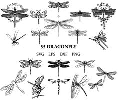 dragonflys are drawn in different styles and sizes