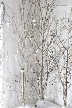 two white birch trees in front of a window with snow on the ground and lights hanging from them