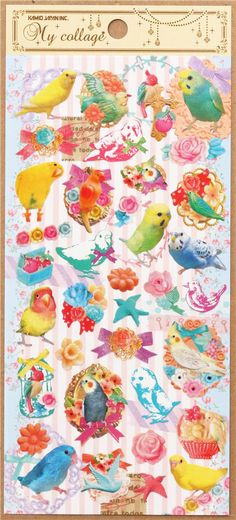 a card with many different types of birds on it