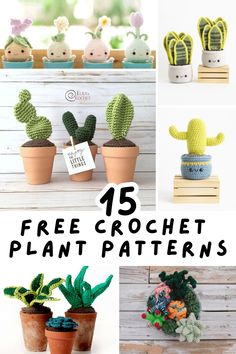 free crochet plant patterns for cactuses and succulents