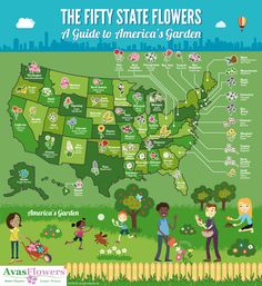 the fifty state flowers map is shown with children playing and gardening in front of it