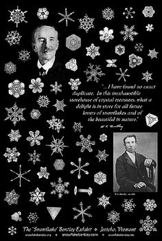 a black and white poster with snowflakes on it's sides, including an image of a man in a suit