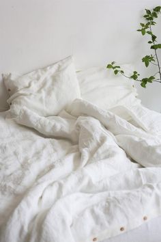 an unmade bed with white linens and a green plant in the corner next to it