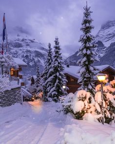 snow covered trees and buildings in the mountains