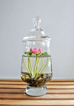 a glass jar filled with water and flowers