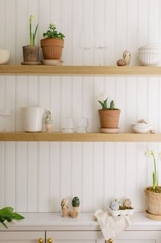 some plants are sitting on top of the shelves