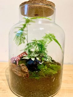 a glass jar filled with plants and rocks