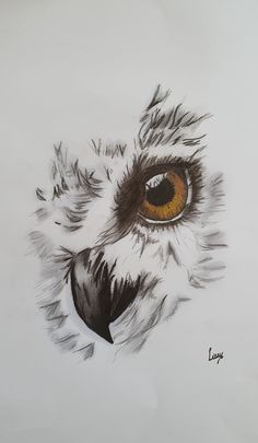 an owl's eye is shown in this drawing