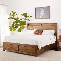 a bedroom with a bed, plant and pictures on the wall