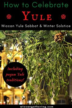 an advertisement for the winter solstice event with pine cones hanging from a tree