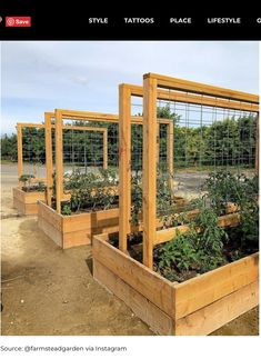 several wooden planters with plants growing in them