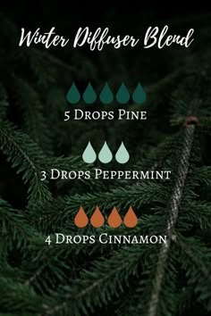 This essential oil diffuser blend composed of pine, peppermint and cinnamon is perfect for a holiday of Yule. #winterblend #essentialoils Diffuser Blend