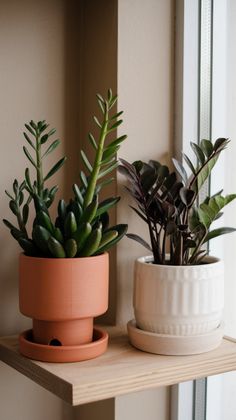 two potted plants sitting on top of a wooden shelf