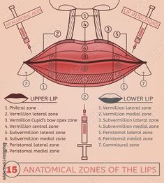 Botox And Fillers Logo, Injection Image, Botox Injection Sites, Dermal Fillers Lips, Hyaluronic Acid Lips, Botox Lips, Aesthetic Dermatology, Facial Fillers, Cosmetic Injectables