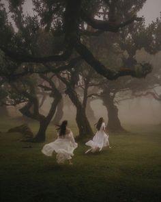 two women in white dresses are walking through the foggy woods with trees behind them