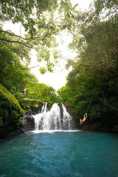 two people are hanging from a rope above a waterfall while another person jumps into the water