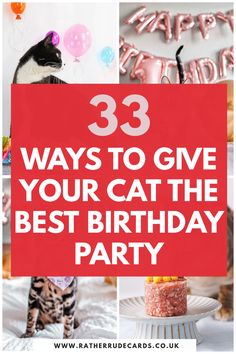 Best cat birthday party ideas for your pet, best cat birthday gift ideas and how to treat and spoil your cat or kitten on their birthday ideas Birthday Treat For Cat, Cat Birthday Treats, Birthday For Cat Pets, Cake For A Cat, Birthday For Cat Ideas, Pet Cat Birthday Party Ideas, Diy Cat Birthday Cake