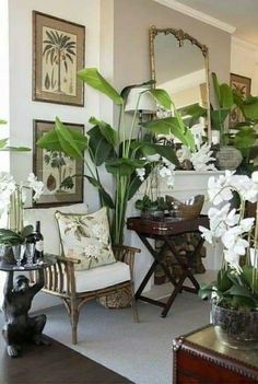 a living room filled with furniture and lots of plants in vases on top of tables