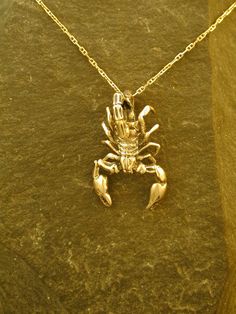 "This solid 3 Dimensional Scorpio pendant is 14K Gold. The included chain is a 14K Gold chain. You may choose 16, 18 or 20 inch at the same price. Other length available at sightly higher prices. This Scorpio pendant measures 1 1/4\" long by 7/8\" across. I hand cast all my pieces using the lost wax casting method. Please ask your needs. You may call me with questions, often I am out so please use my machine. 831-476-3176. Satisfaction Guaranteed! I send items USPS First Class unless otherwise d Scorpio Pendant, Zodiac Necklace Scorpio, Cows Milk, Jellyfish Pendant, Scorpio Necklace, Skeleton Earrings, Constellation Necklace, Wax Casting, Zodiac Jewelry