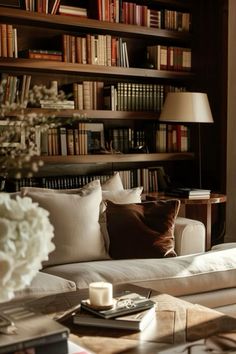 a living room filled with lots of books and furniture