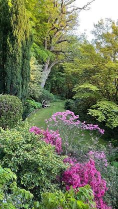 the garden is full of colorful flowers and trees