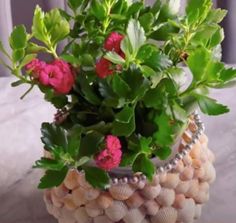 a potted plant with pink flowers and green leaves in it sitting on a table