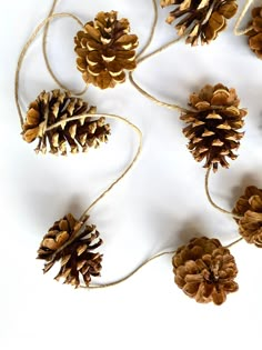 pine cones are arranged in a circle on a white surface with twine between them