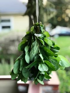 a bunch of green leaves hanging from a hook on a window sill in front of a house