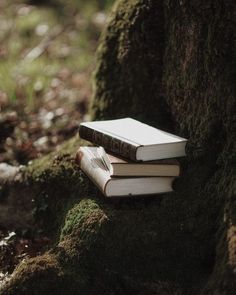 two books sitting on top of each other in front of a moss covered tree trunk