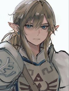 Zelda Character Art, Legend Of Zelda Link Art, Link X Y/n, Botw Link Icon, Zelda Link Fanart, Link Realistic, Link Zelda Fanart, Link Wallpapers, Link Pfp