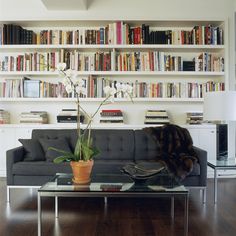 a living room filled with furniture and lots of books