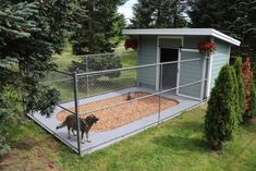 two dogs in a fenced off area next to a dog house with flowers hanging from the roof