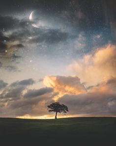 a lone tree in the middle of a field under a night sky with stars and planets