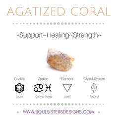 Agatized Coral Coral Meaning, Agatized Coral, Crystal Magick, Reiki Crystals