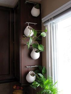 there is a potted plant hanging on the wall next to a window with three white vases