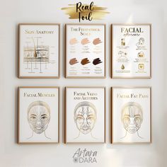 six framed posters with different facial types and their names on the wall in front of them