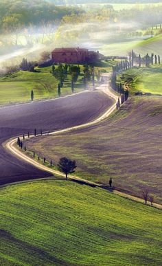 the rolling hills are covered in fog and mist as people walk down the road on either side