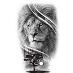 a black and white photo of a lion with blue eyes