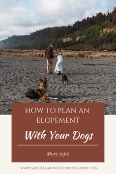 a man and woman walking their dogs on the beach with text overlay that reads how to plan an elopement with your dogs more info