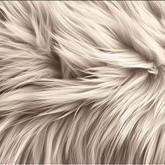 an animal fur texture is shown in black and white