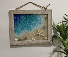 a frame hanging on the wall with sea shells and starfish in it next to a potted plant