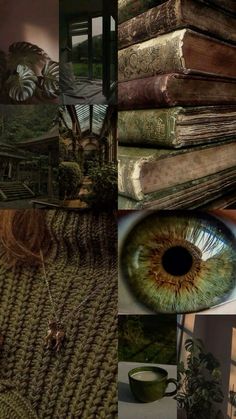 a collage of photos with books and an eye looking at the viewer's lens